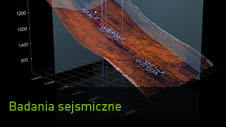 Badania sejsmiczne