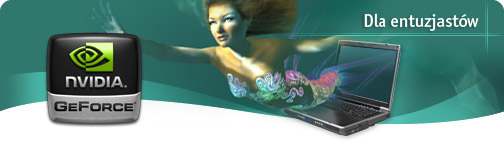 NVIDIA GeForce Go 6800
