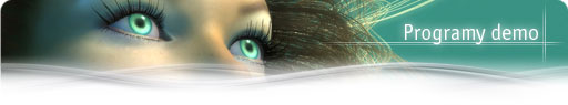NVIDIA GeForce 6800 - Programy
