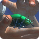 Timbury