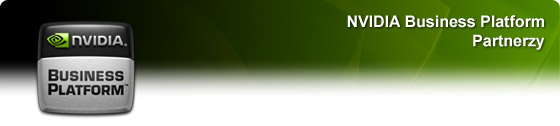 NVIDIA Business Platform