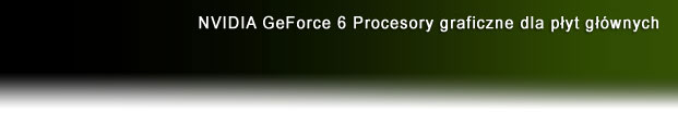 NVIDIA GeForce 6 Series Motherboard GPU