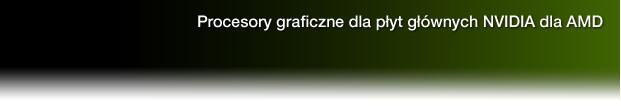 Procesory graficzne dla płyt głównych NVIDIA dla AMD