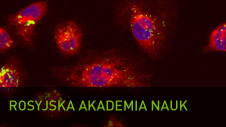 Rosyjska Akademia Nauk