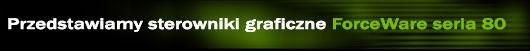 header_rel80_pl.jpg