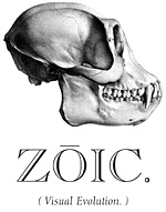 Zoic Studios